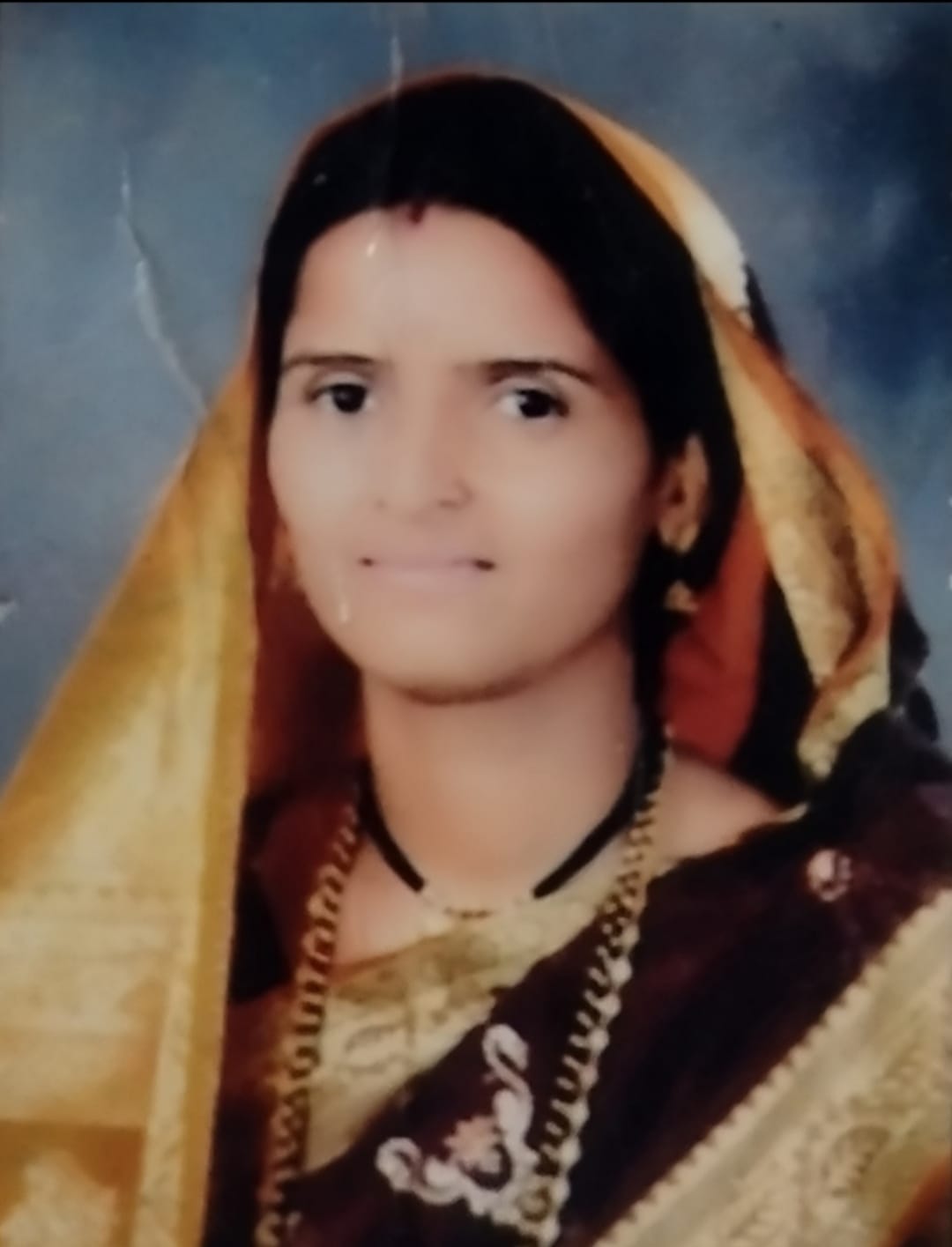 सदस्य